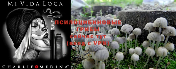 MDMA Бородино