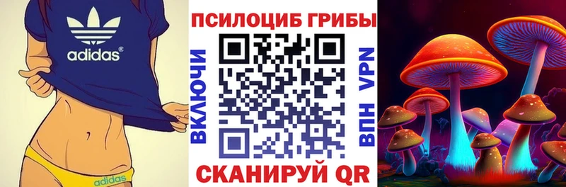 Псилоцибиновые грибы GOLDEN TEACHER  Купить закладки  Аргун 